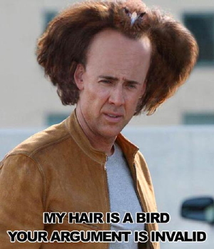 birdhair