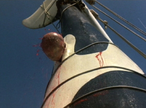 orca1.jpg