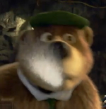 yogi