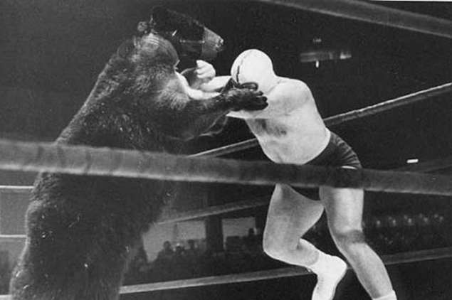 bear-fight-man