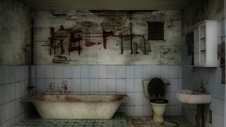Bathroom of Terror