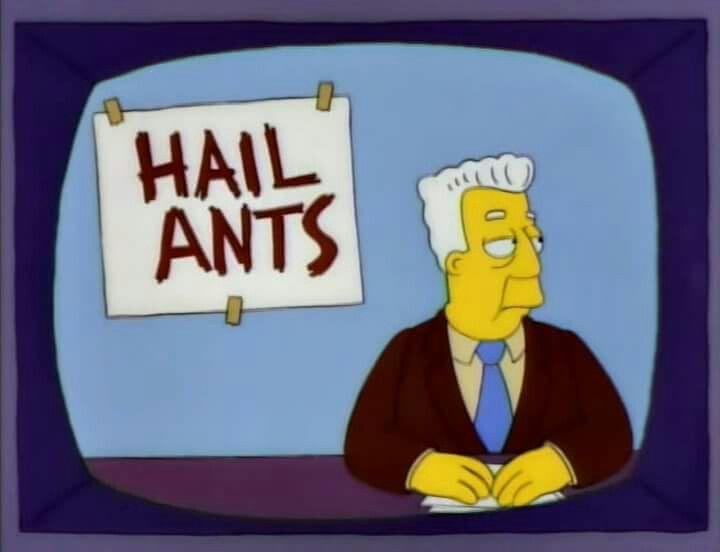 Correction News Network