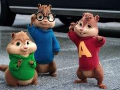 alvin2