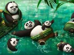 panda-gallery1-gallery-image