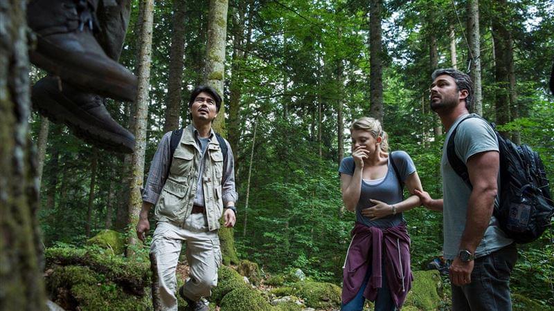 The Forest - EricDSnider.com