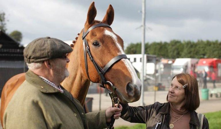 Dark Horse (documentary)