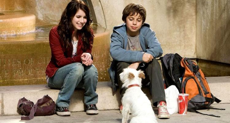 A Real Hotel for Dogs Would Pose Numerous Logistical Problems