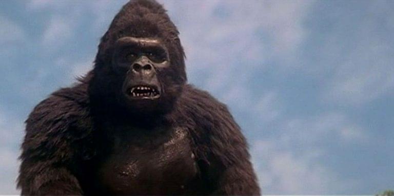 King Kong Lives