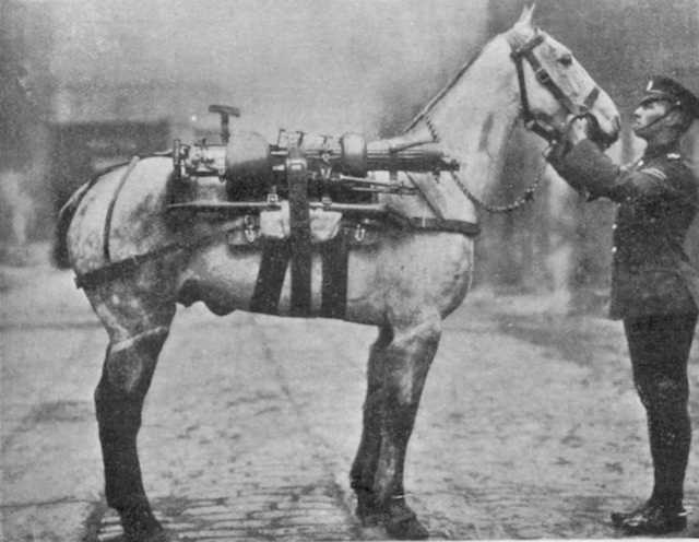 Logical Problems with a Horse That Goes to War