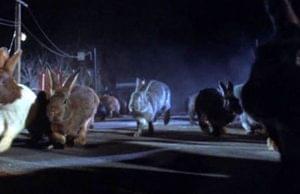 Night-of-the-Lepus