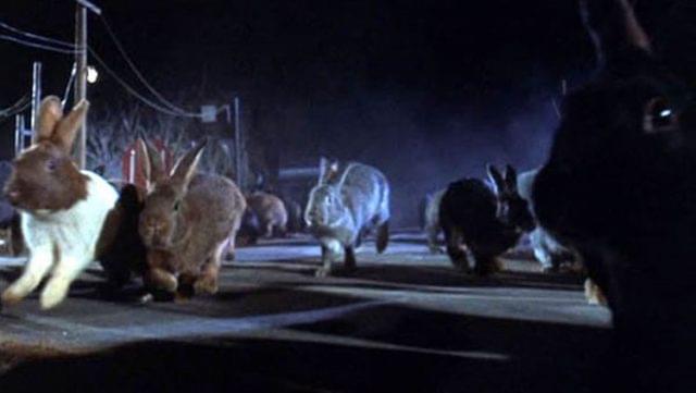 Night-of-the-Lepus