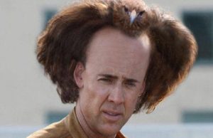 Nic Cage bird on head