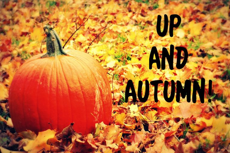 Welcome to October! Here’s what’s up