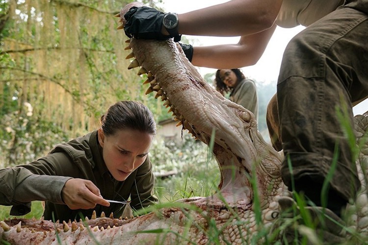 Annihilation
