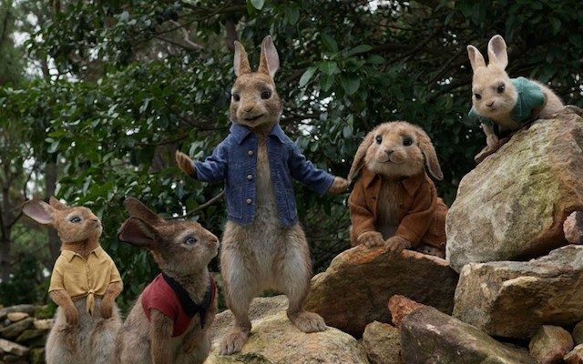 peterrabbit0209