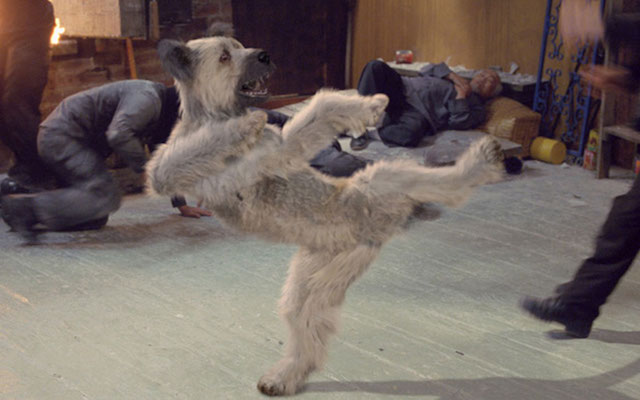 Karate Dog