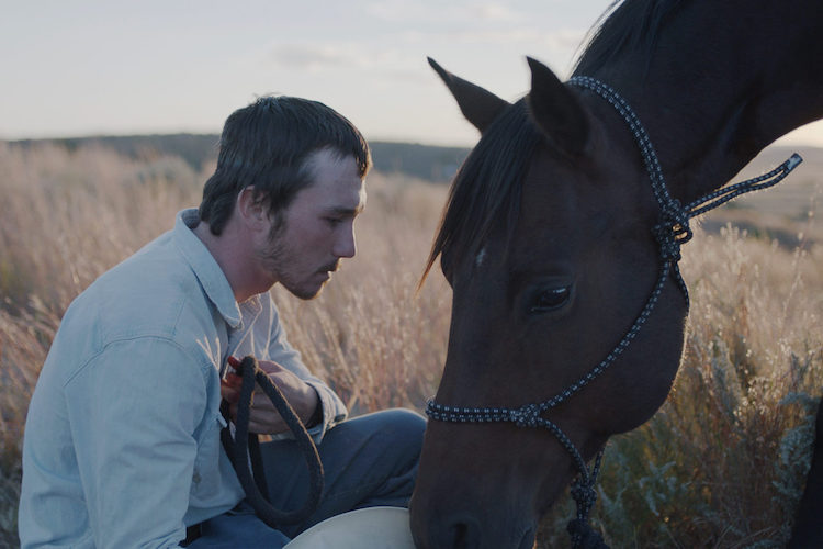 The Rider